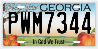 GA license plate PWM7344