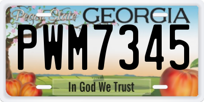 GA license plate PWM7345