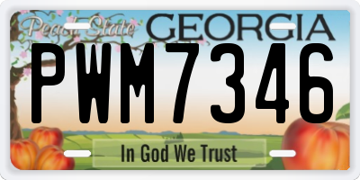 GA license plate PWM7346