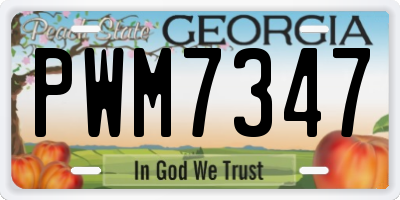 GA license plate PWM7347