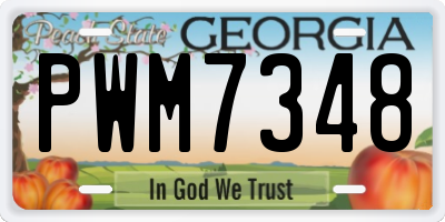 GA license plate PWM7348