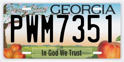GA license plate PWM7351