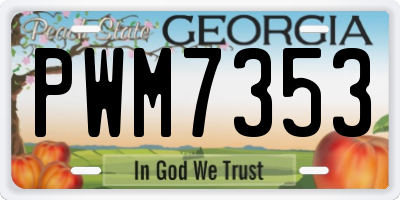 GA license plate PWM7353