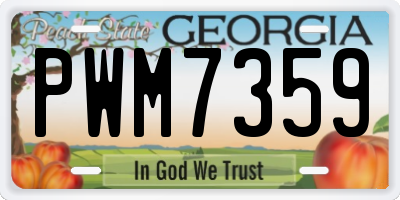 GA license plate PWM7359