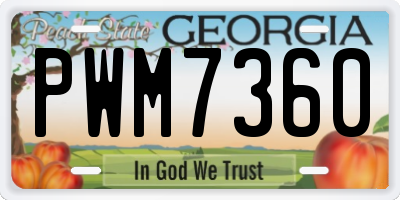 GA license plate PWM7360