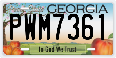GA license plate PWM7361
