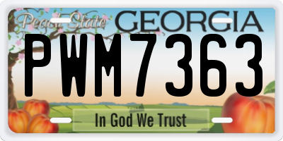 GA license plate PWM7363