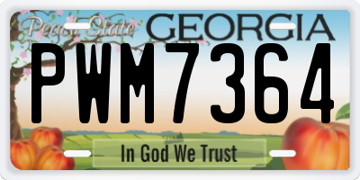 GA license plate PWM7364
