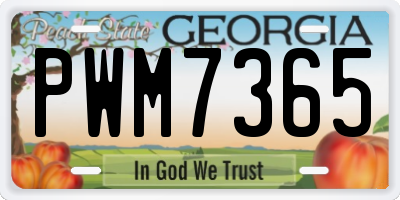 GA license plate PWM7365