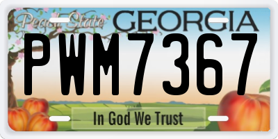 GA license plate PWM7367