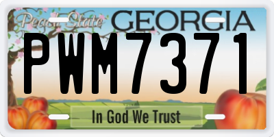 GA license plate PWM7371