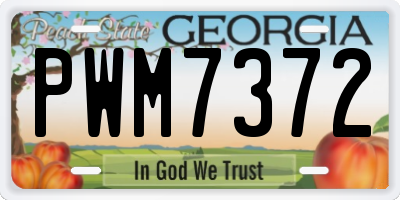 GA license plate PWM7372