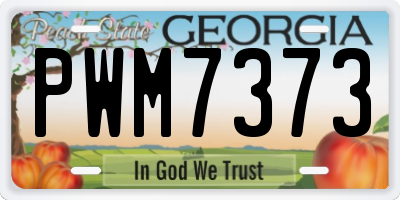 GA license plate PWM7373