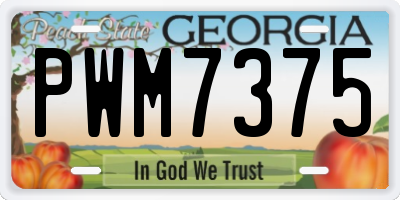 GA license plate PWM7375