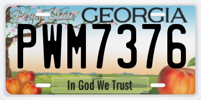 GA license plate PWM7376
