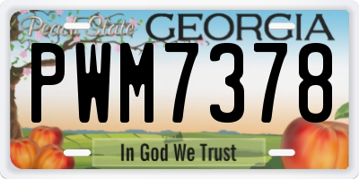 GA license plate PWM7378