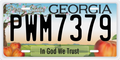 GA license plate PWM7379