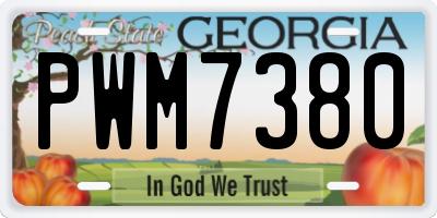 GA license plate PWM7380