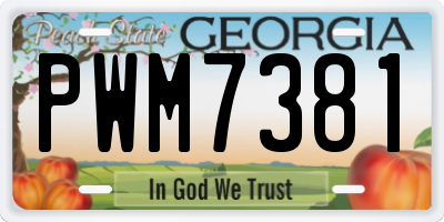 GA license plate PWM7381
