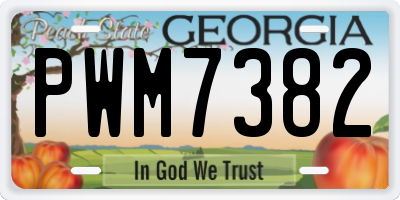 GA license plate PWM7382