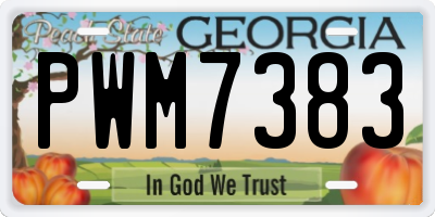 GA license plate PWM7383