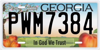 GA license plate PWM7384