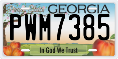 GA license plate PWM7385