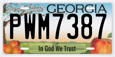 GA license plate PWM7387