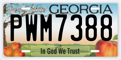 GA license plate PWM7388