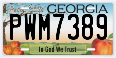 GA license plate PWM7389