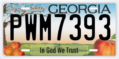 GA license plate PWM7393