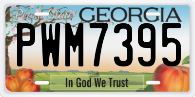 GA license plate PWM7395