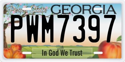 GA license plate PWM7397