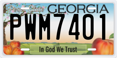 GA license plate PWM7401