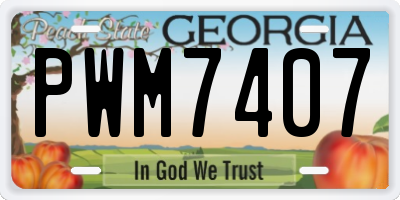 GA license plate PWM7407