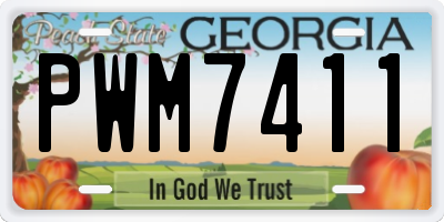 GA license plate PWM7411