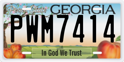 GA license plate PWM7414