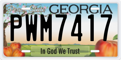 GA license plate PWM7417