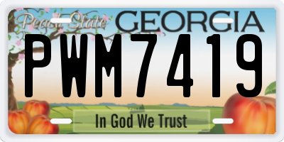 GA license plate PWM7419