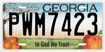 GA license plate PWM7423