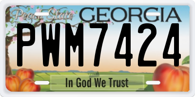 GA license plate PWM7424