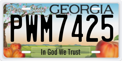 GA license plate PWM7425