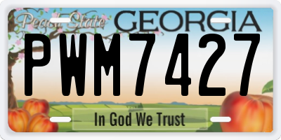 GA license plate PWM7427