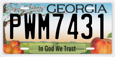 GA license plate PWM7431