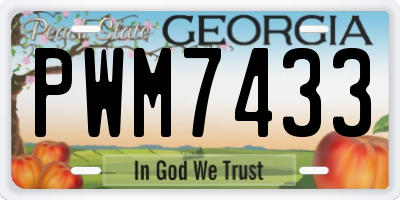 GA license plate PWM7433