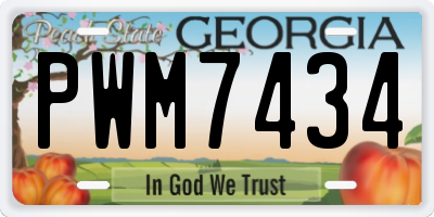 GA license plate PWM7434
