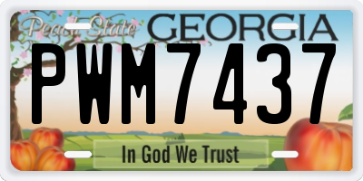 GA license plate PWM7437