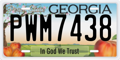 GA license plate PWM7438