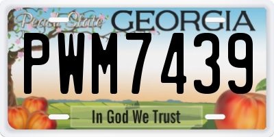 GA license plate PWM7439