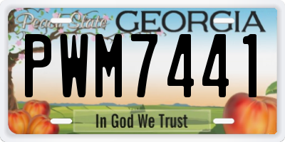 GA license plate PWM7441